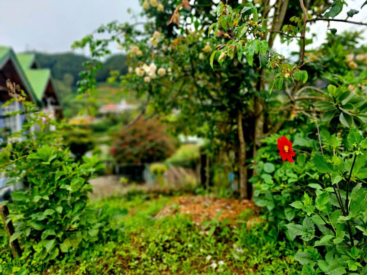 Haven Chalet Nuwara Eliya Exteriér fotografie
